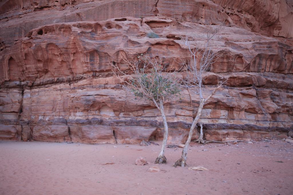 Bedouin Expedition Ram Vadisi Dış mekan fotoğraf