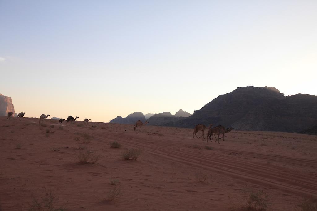 Bedouin Expedition Ram Vadisi Dış mekan fotoğraf