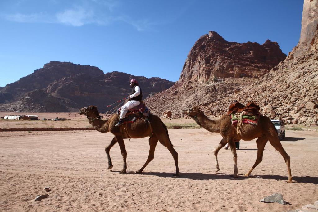 Bedouin Expedition Ram Vadisi Dış mekan fotoğraf