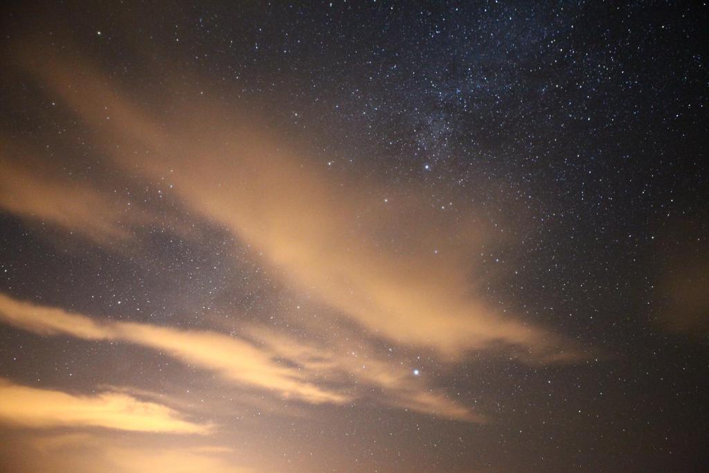 Bedouin Expedition Ram Vadisi Dış mekan fotoğraf