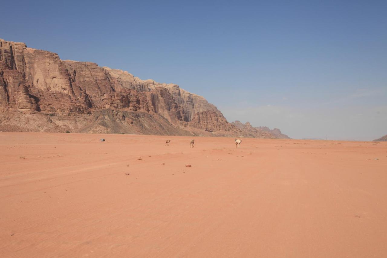 Bedouin Expedition Ram Vadisi Dış mekan fotoğraf